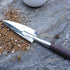 Succulent Tools, Mini Garden Tool Set, Succulent Care kit for Succulent Miniature Gardening Plant Care...