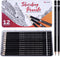 12 PCS Drawing Pencils – Professional Graphite Sketch Pencils (8B-2H) in a Robust Metal Case – Ideal for Drawing, Sketching, Shading for Artists &...