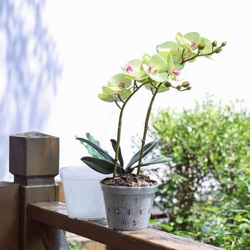 YIKUSH Orchid Pots with Holes Clear Orchid Pot Plastic Plant Pot Flower Pots Outdoor and Indoor Use 5.5 inch 10Pack...