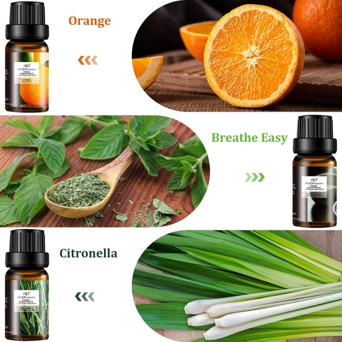 Refresh Essential Oil Set, 6x10ml Aromatherapy Oils for Diffuser, Humidifier, DIY Candle, Air Purifier...
