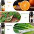 Refresh Essential Oil Set, 6x10ml Aromatherapy Oils for Diffuser, Humidifier, DIY Candle, Air Purifier...