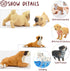Toymany 12PCS Mini Dog Figurines Playset, Realistic Detailed Plastic Puppy Figures, Hand Painted Emulational Tiny Dogs Animals Toy Set, Cake Toppe...