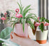 Mini Flamingos Figurines with Stakes - Set of 4 Small Flamingos Garden Gifts for Women Resin for Flower/Plant Pot Decorations - Miniature Fairy Ga...