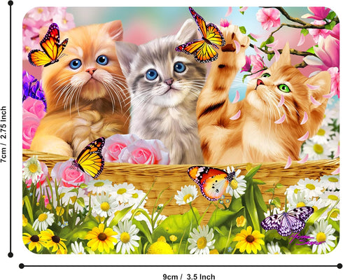 Magnet - Kitten Fun Time from Deluxebase. Lenticular 3D Cat Fridge Magnet. Magnetic Decor for Kids and Adults with Artwork Licensed from Renowned ...