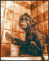 Posterizer 1 pcs-cute funny chimp reading newspaper on toilet-3-Bathroom Restroom Art-Art for Animal Lovers-Gift for Daughter, Son, Kids- unframed...