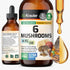 BIO KRAUTER 6 Mushrooms Supplement 6-in-1 - Lions Mane, Shiitake,Turkey Tail, Cordyceps, Reishi & Chaga Liquid Extract - Mushroom Complex Tincture...