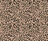 Baby Blanket for Girls Boys Leopard Minky Super Soft Double Layer Receiving Blanket with Dotted Backing for Newborn Nursery Stroller Receiving Tod...