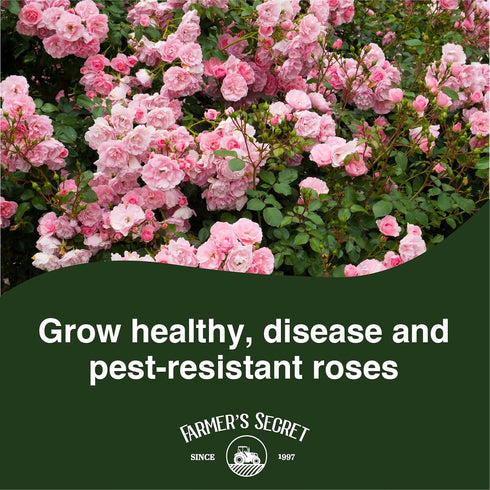 Farmer's Secret Rose Booster Fertilizer (8oz) - Super Concentrated - Formulated for All Types of Roses Throughout The Life Cycle - Encourages Heal...