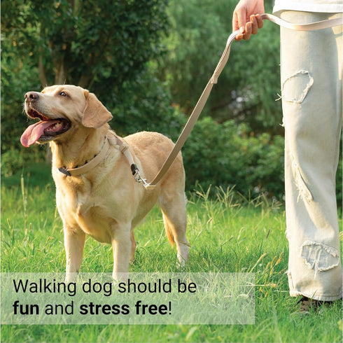 SVD.PET Dog Prong Collar for No-Pull Training, Quick-Release Buckle Adjustable Pinch Collar for Large Dogs (Tan, Large Size)...