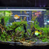 POPETPOP Luminous Puffer Fish Tank Aquarium Decoration, Fluorescent Simulation Puffer Cool Fish Tank, Fish Tank Decoration, Fake Fish Aquarium Orn...