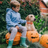 Halloween Dog Collar with Bow Tie, Pumpkin Cotton Bowtie Collar for Puppy Girl Dog or Cat, Halloween Bow Tie Collar with Durable Metal Buckle, Ado...