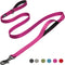 Fida 6 FT Heavy Duty Dog Leash with 2 Comfortable Padded Handles, Traffic Handle & Advanced Easy Snap Hook, Reflective Walking Lead for Large, Med...