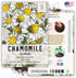 Seed Needs, German Chamomile Seeds - 500 Heirloom Seeds for Planting Matricaria recutita - Medicinal Herb for Indoor/Outdoor Gardens, Non-GMO & Un...