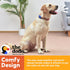 The Dodo Cork Dog Collar, Stripe, Size Medium; Cork Material Collar for Dogs, Everyday Pet Apparel; Adjustable Snap Together, Pinch Release Buckle...