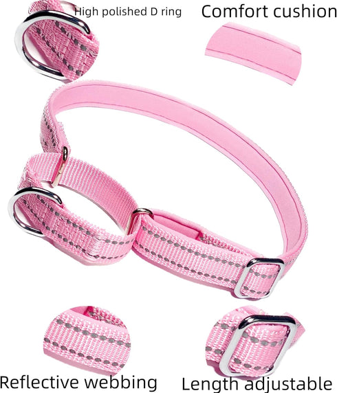 Martingale Dog Collars, Reflective Safety Puppy Collar, Adjustable Soft Nylon Training Dog Collar,Metal Accessories Heavy Duty No Pull Pet Collars...