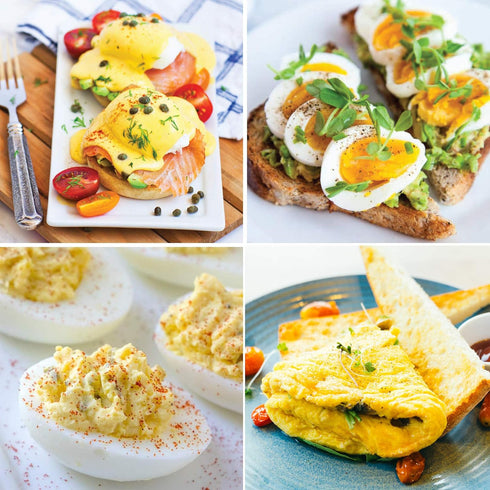 Elite Gourmet Easy Electric 7 Egg Capacity Soft, Medium, Hard-Boiled Cooker Poacher, Scrambled, Omelet Maker with Auto Shut-Off and Buzzer, BPA Fr...