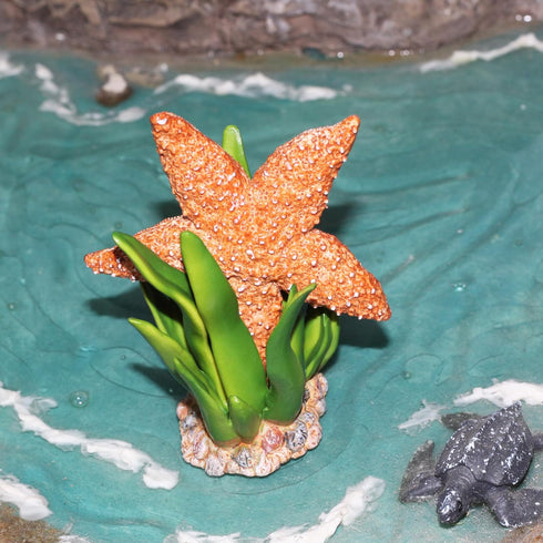 Gemini&Genius Starfish Toys for Kids, Realistic Starfish Action Figure, Starfish Figurine Toy, Under The Sea Life Figure Educational Gifts, Displa...