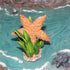Gemini&Genius Starfish Toys for Kids, Realistic Starfish Action Figure, Starfish Figurine Toy, Under The Sea Life Figure Educational Gifts, Displa...