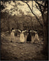 Posterizer 1 pcs-vintage black and white gothic mystical ritual photography 1-Gothic Art-Photography Art-Gift for Steampunk or Goth Fans- unframed...