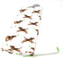 ENVOGUE CHASE YOUR DREAMS DOG RUNNING AFTER BALL 2-PK Kitchen Towel Set | 100% Cotton...