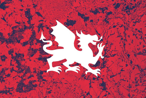 12-Inch Welsh Dragon Style Design Stencil, Reusable Mylar Cutout for Sign Art, Crafts & DIY Projects...