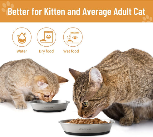 Cat Bowls, 2 Pcs Stainless Steel Cat Bowls for Food and Water, Whisker Fatigue Shallow Non-Slip Cat Dishes Plates for Small Dog Puppies Cats...