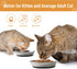 Cat Bowls, 2 Pcs Stainless Steel Cat Bowls for Food and Water, Whisker Fatigue Shallow Non-Slip Cat Dishes Plates for Small Dog Puppies Cats...