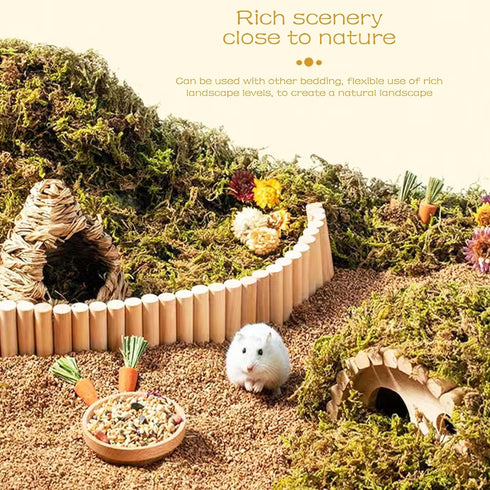 Natural Hamster Bedding Edible Flowers Herbs Sprays for Edible Grain Habitat Enclosure Decor Hamster Chews for Dwarf Syrian Gerbils Mice Mouse Rat...