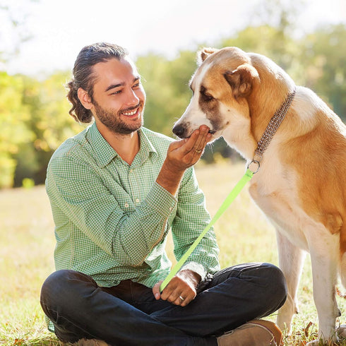 18 Pieces Slip Leads Dog Leash Pet Rope with O-Ring 6 Feet for Small Medium Large Dogs Grooming Shelter Rescues Walking Training (Neon Green, Oran...