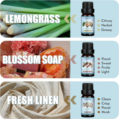 Clean Fragrance Oils Set, Premium Essential Oils for Diffuser for Home, Scented Oil for Soap & Candle Making Scents - Lemongrass, Aloe, Blossom So...