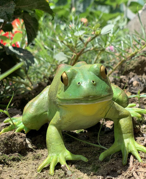 Gemini&Genius Tree Frog Toy Figure for Kids, Realistic Hand Painted Toy Bullfrog Action Figure Play or Display Toy, Animals Educational and Role P...