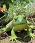 Gemini&Genius Tree Frog Toy Figure for Kids, Realistic Hand Painted Toy Bullfrog Action Figure Play or Display Toy, Animals Educational and Role P...
