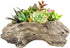 Succulent Planters Driftwood Planter Succulent Pots Small Plant Flower Cactus Pots Tree Stumb Wood Planter with Drainage Hole...