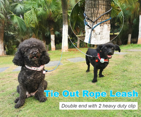 8FT 15FT 30FT Dog Tie Out Long Rope Leash for Dog Training, Long Dog Tether Great for Large Medium Small Dogs Training, Camping, or Backyard (8ft-...