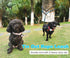 8FT 15FT 30FT Dog Tie Out Long Rope Leash for Dog Training, Long Dog Tether Great for Large Medium Small Dogs Training, Camping, or Backyard (8ft-...