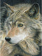 Royal Brush CPBNK 18 Color Pencil by Number Kit, 8.75 by 11.75-Inch, Curious Eyes...