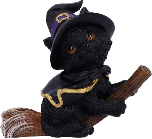 Nemesis Now Tabitha Small Witches Familiar Black Cat and Broomstick Figurine, 11cm...