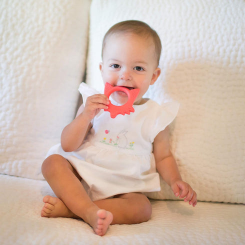 Dr. Brown's Flexees Friends Orange Fox, Soft 100% Silicone Baby Teether, BPA Free, 3m+...