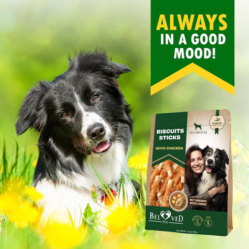 Biscuits Sticks Dog Treats Chicken Wrapped Human Grade Meat - Natural Dried Snacks Rawhide - Free & Grain Free Long Lasting Chews for Large & Smal...