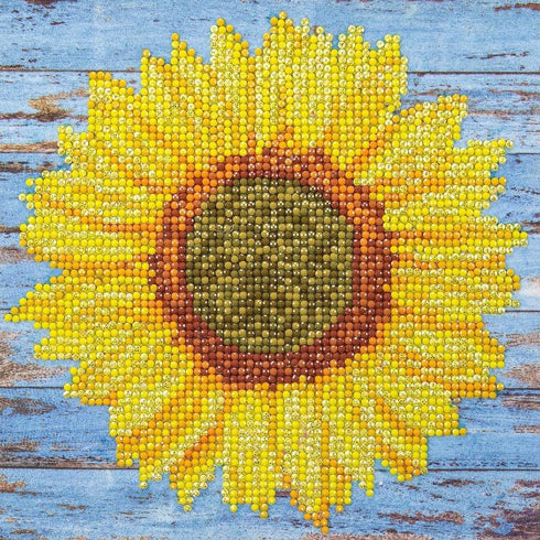 DIAMOND ART BY LEISURE ARTS Diamond Painting Kits for Adults 8"X8" Beginner Sunflower, Full Drill, Art Kits, Dimond Art, for Adults, Kit...