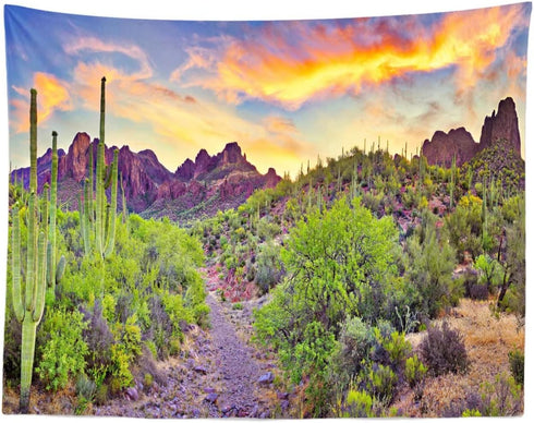 BELECO 7x5ft Fabric National Park Arizona Desert Backdrop Fire-Like Sky Mountain Landscape Green Plants Saguaro Cactus Photography Background West...