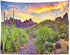 BELECO 7x5ft Fabric National Park Arizona Desert Backdrop Fire-Like Sky Mountain Landscape Green Plants Saguaro Cactus Photography Background West...