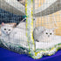 2 Pieces Reversible Cat Hanging Hammock Soft Breathable Pet Cage Hammock with Adjustable Straps and Metal Hooks Double-Sided Hanging Bed for Cats ...