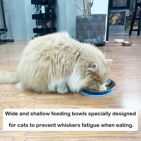 Stainless Steel Cat Bowls, Cat Food Bowls Shallow Wide Cat Bowl Relief Whisker Fatigue Cat Food Water Bowl with Non-Slip Placemats for Cat Small D...