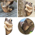 Keeping Quiet Frog Tree Peeker Garden Tree Sculptures Outdoor Tree Face Garden Tree Hugger Statues Indoor Outdoor Yard Decoration (gery)...