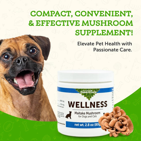 Animal Essentials WELLNESS Maitake Mushroom Supplement for Dogs & Cats - Healthy Immune Response, Supports Circulatory Function, Critical Immune D...