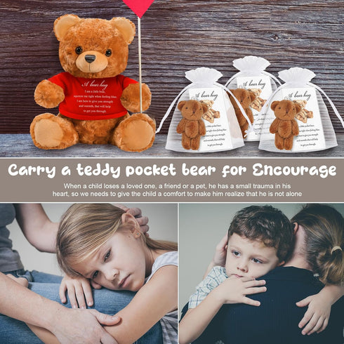 Bear Plush Stuffed Animal Sympathy Gift with a Bear Hug Sign Clothing Hug Bear Gift for Kids Condolences Memorial Comfort Loss of Loved One(Brown,...