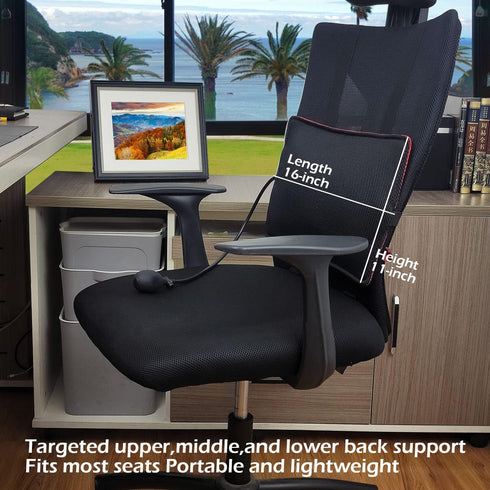 Inflatable Lumbar Support Pillow for Office Chair and Car Seat, Back Support Cushion with Air Pump for Reducing Lower Back Pain...