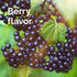 Emergen-C Elderberry Gummies, Elderberry Immune Support Natural Flavors with High Potency Vitamin C, 36 Count...
