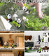 Fairy Garden Accessories,8pcs Panda Figurines Fairy Garden Kit- for DIY Fairy Garden,Patio, Lawn, Micro Landscape, Yard Bonsai Decals and Also for...